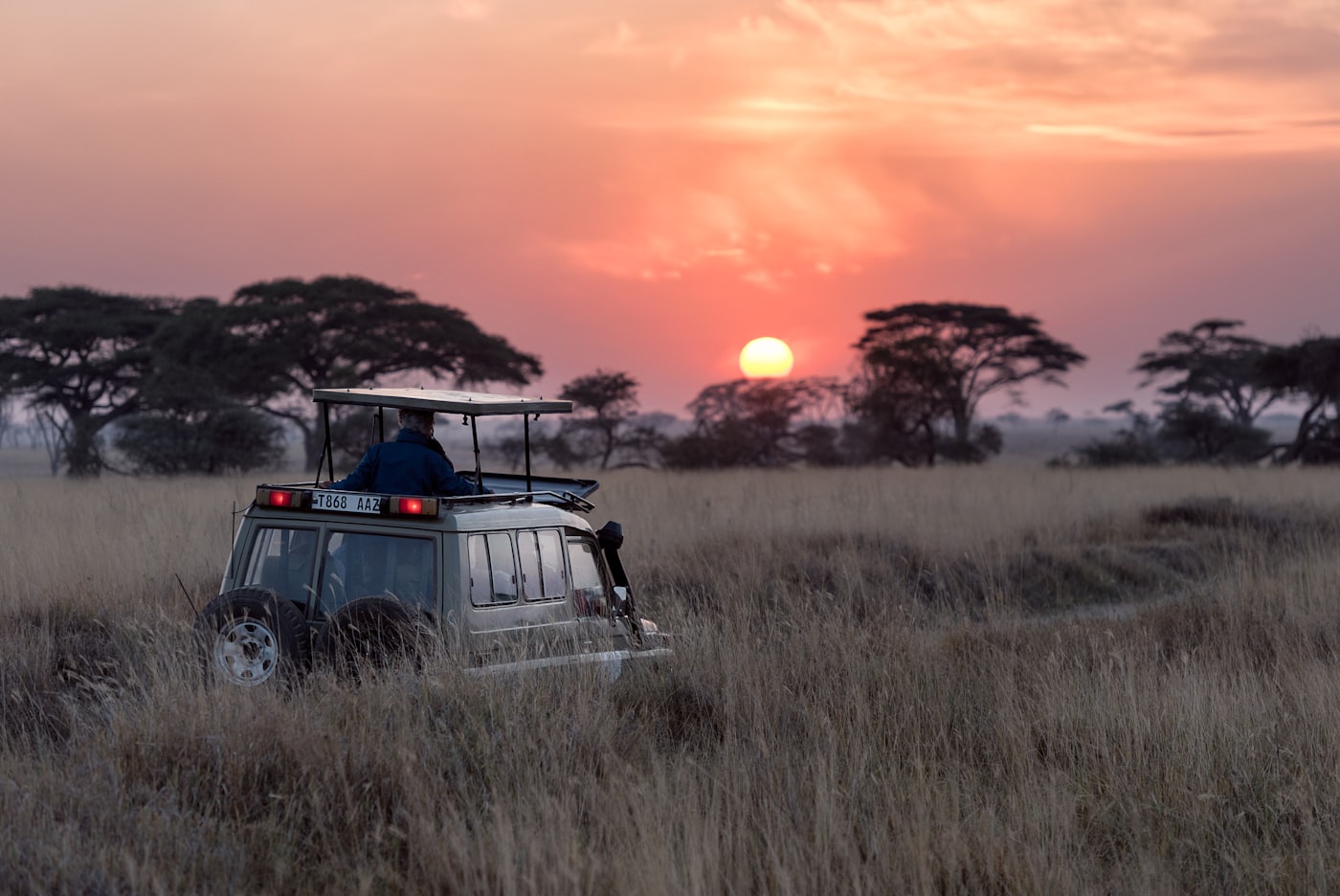 Safari vehicle on the plains at sunset