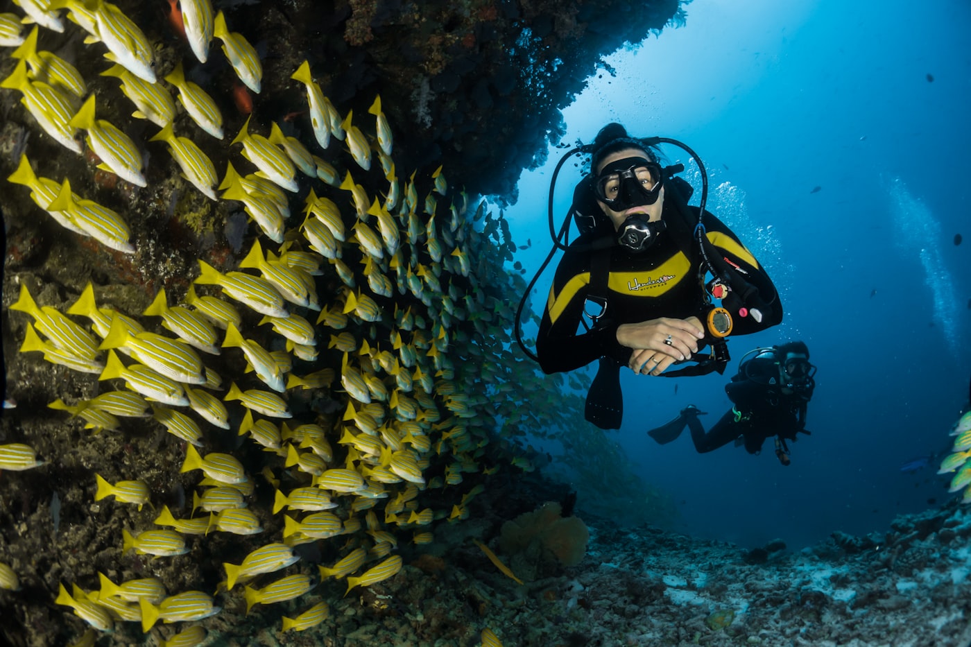 Diver swimming beside a school of fish
